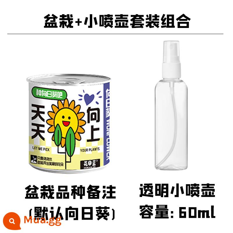 Lưới đỏ đóng hộp trồng cây trồng trong chậu nhỏ để bàn cây đóng hộp học sinh tiểu học cỏ ba lá hướng dương hoa nhỏ trang trại quà tặng - Chậu cây + bình tưới nhỏ trong suốt