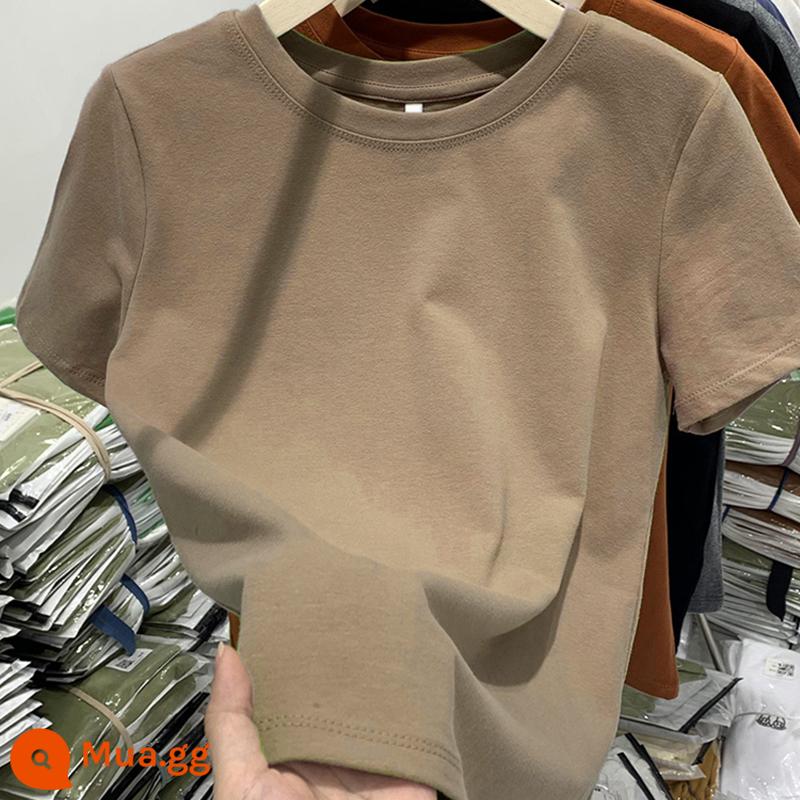 Semir Group cotton vai chải áo thun ngắn tay mùa xuân và mùa hè hàng đầu của phụ nữ Áo thun dày dặn áo sơ mi có đáy bằng cotton nguyên chất - Màu nâu [kiểu chải]