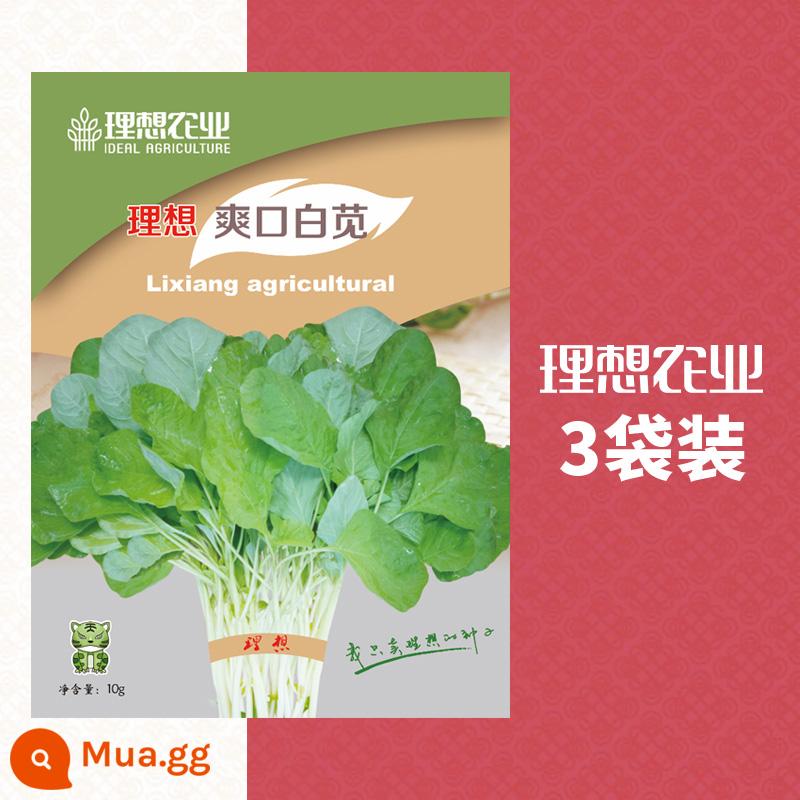 Hạt dền, hạt dền đỏ, hạt dền đỏ nguyên hạt, danh sách đầy đủ các loại rau trồng tại trang trại Trung Quốc được trồng trong tất cả các mùa - 3 gói [Dền trắng giải khát] 30g