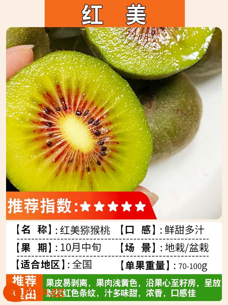 Cây giống kiwi trái tim màu đỏ ngày mềm cây giống kiwi Xu Xiang vườn ghép cây ăn quả trồng ở phía bắc và phía nam - Hongmei [cây con 5 tuổi, đậu quả cùng năm] lưỡng tính