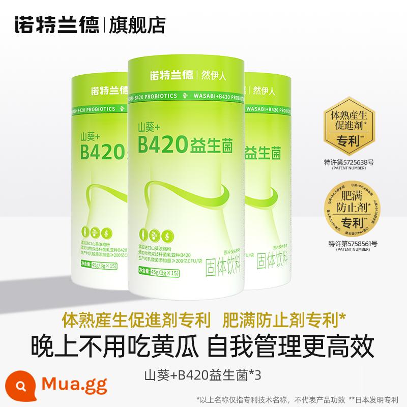 Notland Wasabi B420 Probiotic Thức uống đặc cho đường tiêu hóa Cửa hàng hàng đầu chính hãng - Gói 3 thùng tiết kiệm chi phí [chuyên dùng cho sự bướng bỉnh]