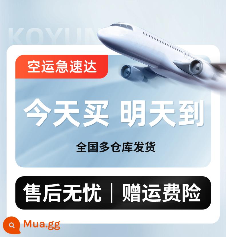 Hút Cao Gia Đình Không Dây Im Lặng Nhỏ Máy Hút Bụi Cầm Tay Mạnh Mẽ Loại Bỏ Con Chó Con Lông Mèo Hút Cây Lau Nhà Tất Cả - Vận chuyển hàng không vào ngày hôm sau [bảo hiểm vận chuyển miễn phí]