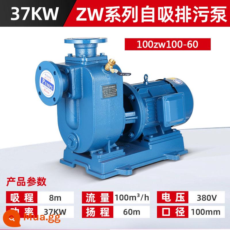 Máy bơm tự mồi BZ của nhân dân Máy bơm nước thải ZW máy bơm ly tâm đường ống ngang 380V Máy bơm nước thải Thượng Hải máy bơm tăng áp dòng chảy lớn - Nước thải ZW cỡ nòng 37KW100 [động cơ hoàn toàn bằng đồng❤ xi lanh dày]