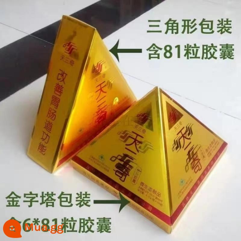 Viên nang Tiansanqi Changle 0,35g/viên * 81 viên - Vàng (81 viên/hộp) (giao hàng nhanh)