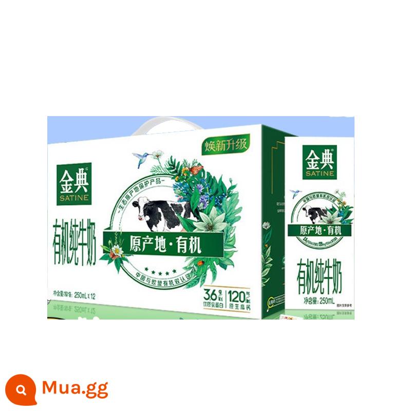 Hàng mới về vào tháng 1 Sữa nguyên chất Yili Jindian 250ml * 12 hộp sữa nguyên hộp Hàng năm mới sữa ăn sáng cho học sinh cửa hàng hàng đầu - [Sản xuất 1 tháng] Sữa nguyên chất hữu cơ Jindian 12 hộp