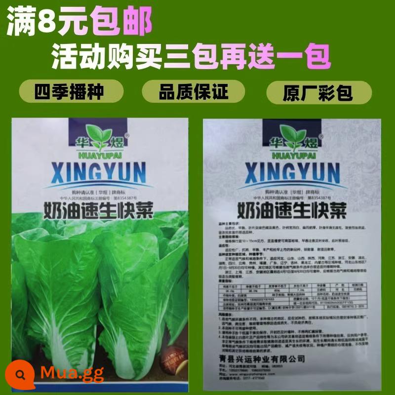 Hạt giống rau bốn mùa gieo ban công trang trại chậu rau muống rau muống xà lách tỏi tây hẹ hạt giống dâu hoàn thành bộ sưu tập - Hạt giống kem nhanh Four Seasons Original 1 gói