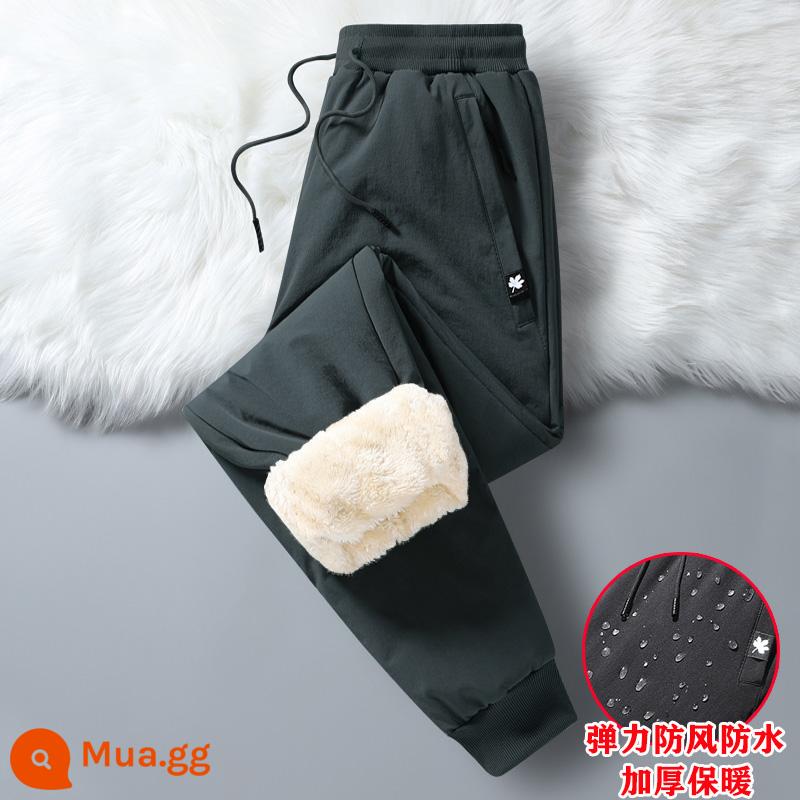 Ấm cộng nhung dày quần thể thao nam mùa đông chống gió và thấm nước quần cotton co giãn áo khoác ngoài cừu nhung giản dị quần cotton dày - Quần legging xám chống gió chống thấm nước 2808