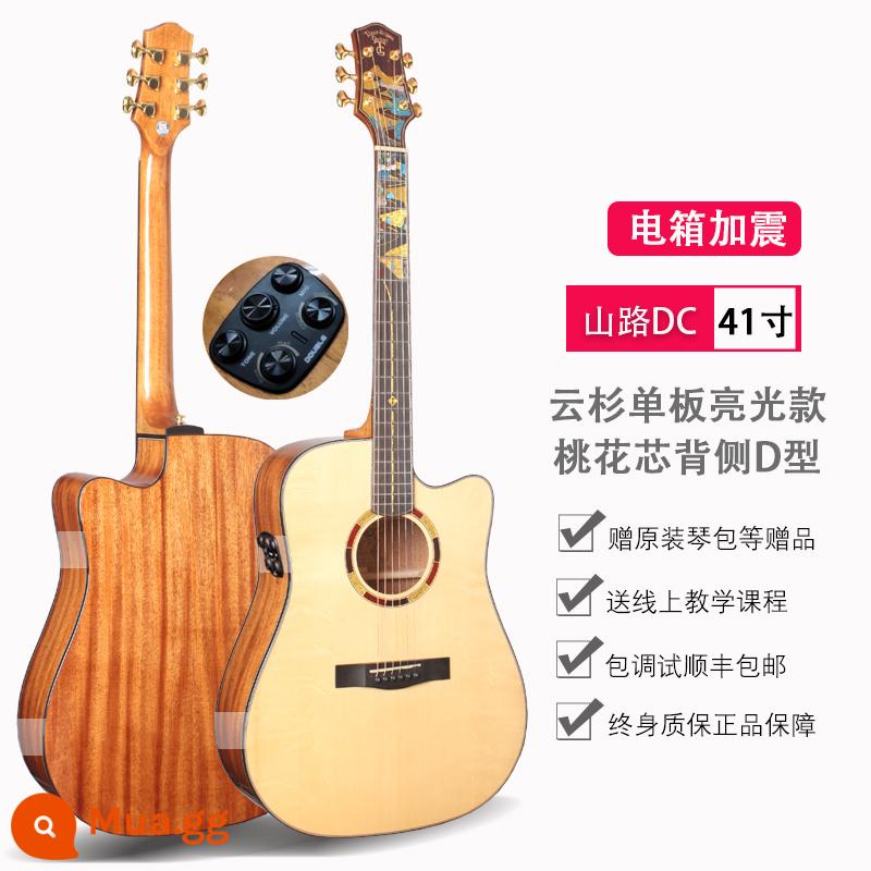 Đức Tiger Rogen đường núi dân gian đàn guitar điện hộp đàn guitar mới bắt đầu nam nữ sinh viên jita - Mô hình hộp điện rung góc sáng 41 inch Shanlu-D loại