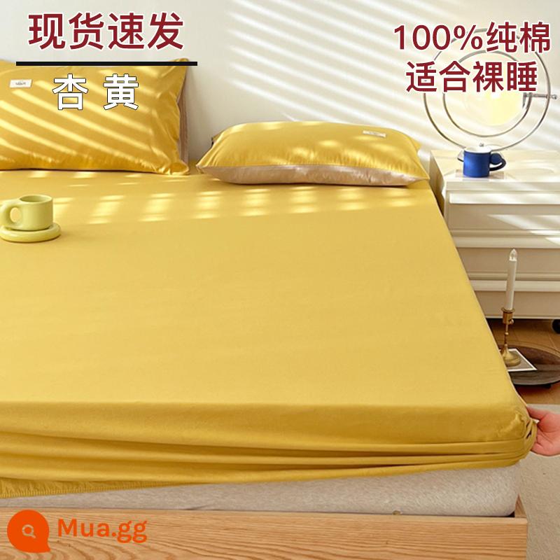 Bộ drap cotton trang bị một mảnh bộ ga trải giường mùa đông 2022 túi đựng nệm Simmons mới cotton nguyên chất ga trải giường cotton đã qua giặt sạch - Màu vàng mơ