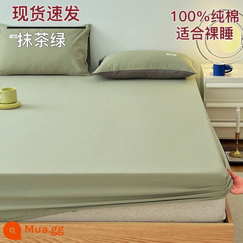 Bộ drap cotton trang bị một mảnh bộ ga trải giường mùa đông 2022 túi đựng nệm Simmons mới cotton nguyên chất ga trải giường cotton đã qua giặt sạch - Matcha Green