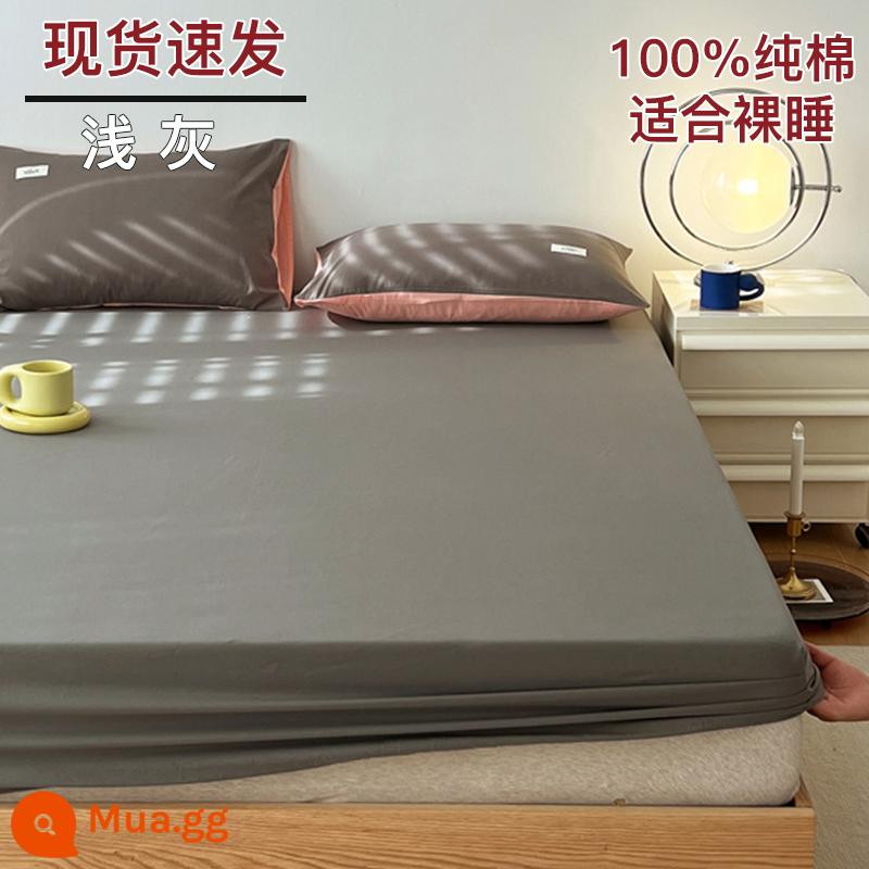 Bộ drap cotton trang bị một mảnh bộ ga trải giường mùa đông 2022 túi đựng nệm Simmons mới cotton nguyên chất ga trải giường cotton đã qua giặt sạch - Màu xám nông