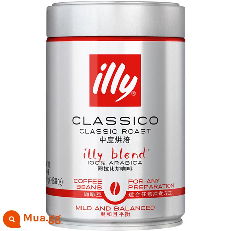 [179 lựa chọn 3 lon] illy nhập khẩu pha hạt cà phê Ý rang kỹ bảo quản nitơ 250g - rang vừa