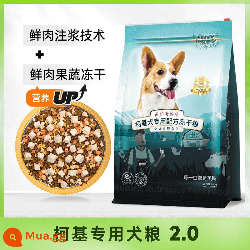 Thức ăn cho chó Corgi dinh dưỡng lông đẹp mông đầy đặn thức ăn cho chó corgi thức ăn cho chó con corgi 30 catties thức ăn cho chó đặc biệt cho chó corgi - Hạt đông khô Corgi 30 pound