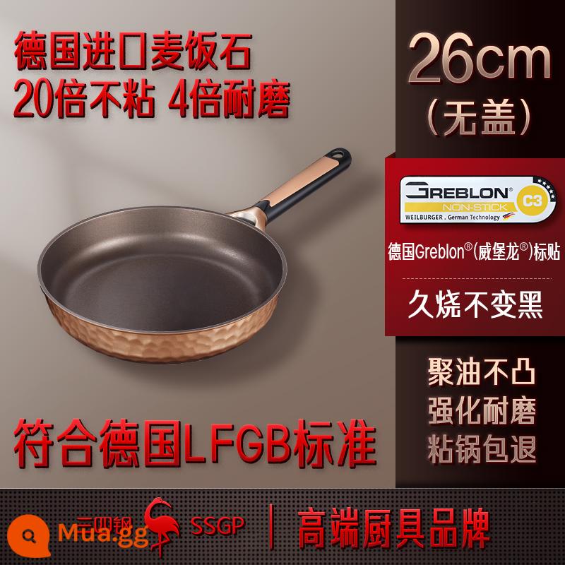 SSGP Đức nhập khẩu chảo, lò nung điện gia đình không có mặt - 26cm không có nắp/2-4 người