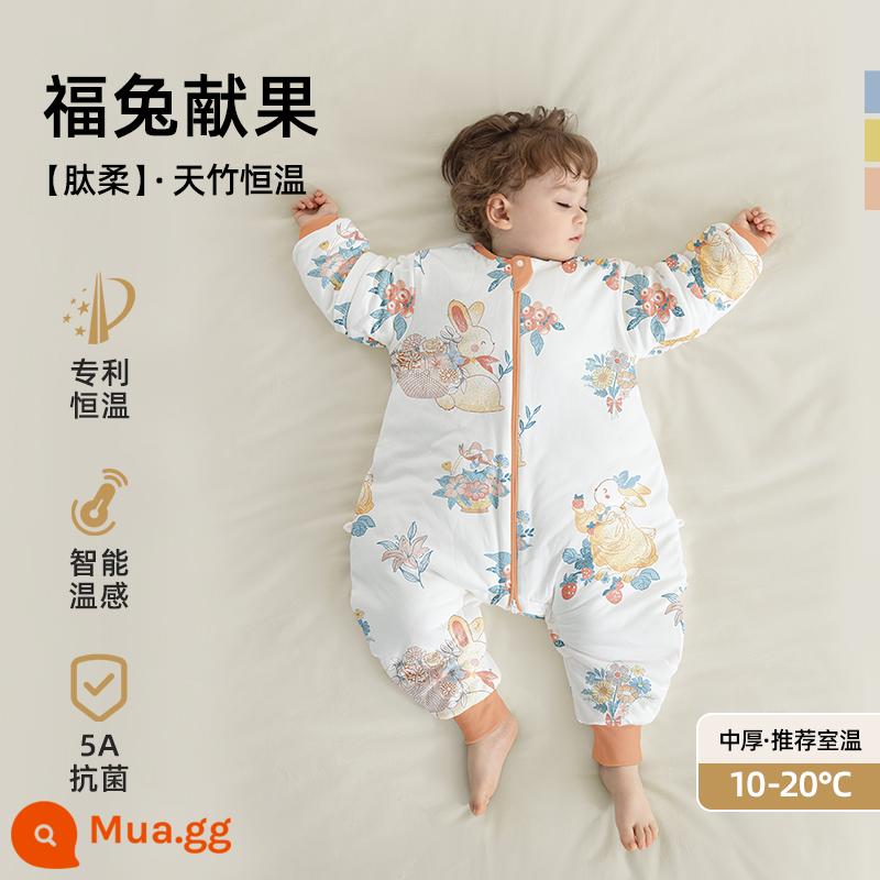 Túi ngủ trẻ em Betex mẫu xuân hạ thu đông nhiệt độ không đổi cotton nguyên chất bốn mùa phổ quát trẻ em chăn chống đá túi ngủ trẻ em chia chân - Nhiệt độ không đổi thông minh [độ dày trung bình vào mùa thu đông, nhiệt độ phòng 10-20oC] Thỏ may mắn tặng trái cây