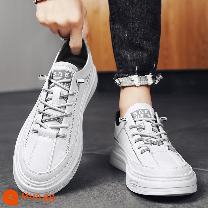 Giày Trắng Nhỏ Thoáng Khí Nam Mùa Hè 2023 Giày Sneaker Nam Thông Thường Mới Giày Nam Xuân Thu Giày Slip On - Bề mặt da xám trắng-B