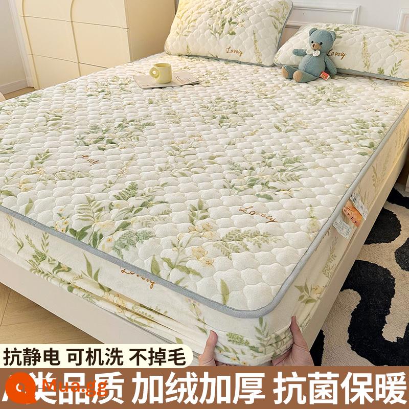 Nhung sữa chần bông trang bị tấm đơn mảnh san hô flannel trải giường mùa đông dày Simmons nệm giường túi trải giường - Hoa và lá nhảy múa [Kháng khuẩn loại A/ấm áp và không rụng lông]