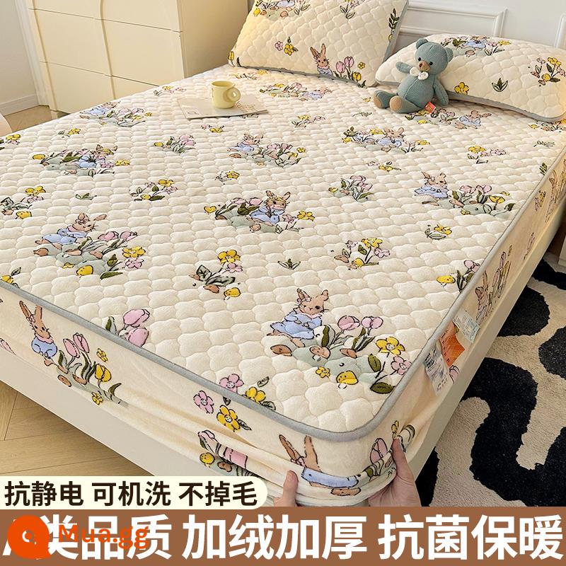 Nhung sữa chần bông trang bị tấm đơn mảnh san hô flannel trải giường mùa đông dày Simmons nệm giường túi trải giường - Thỏ vườn [Kháng khuẩn loại A/ấm áp và không rụng lông]