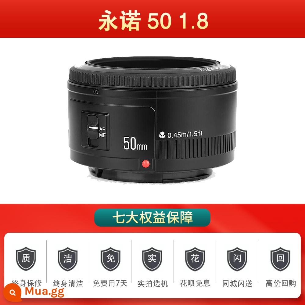 Canon 40 2.8 50 1.8STM 50 1.4 85 1.8USM ống kính tiêu cự cố định chân dung ống kính nhỏ đã qua sử dụng - Yongnuo 50 1.8