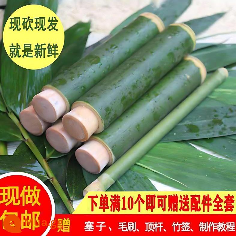 Bánh bao ống tre hộ gia đình quầy hàng thương mại chợ đêm khởi nghiệp Lễ hội thuyền rồng gạo nếp thủ công bằng tre tươi - Đường kính trong 2,3-2,6CM (gói 10 chiếc)