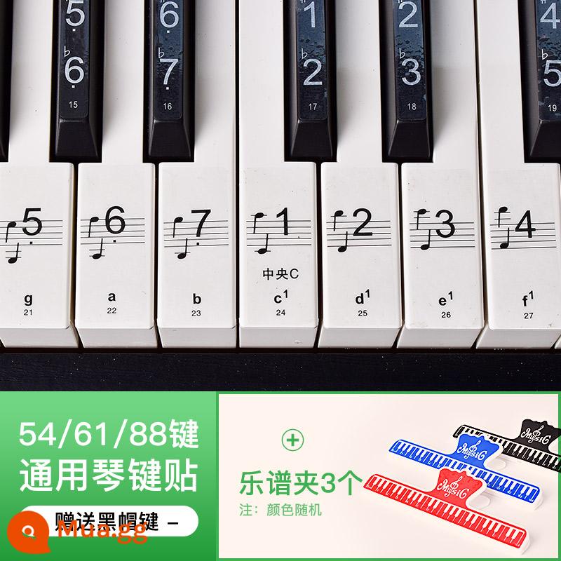 Miếng dán bàn phím đàn piano 88 phím trong suốt 61 phím 54 phím đàn organ điện tử dành cho người lớn dành cho trẻ em ký hiệu năm dòng ký hiệu đơn giản miếng dán nút - Nhãn dán đàn piano trong suốt phổ biến loại B + 3 giá đỡ nhạc phiên bản dài [nhãn dán phím đen miễn phí]