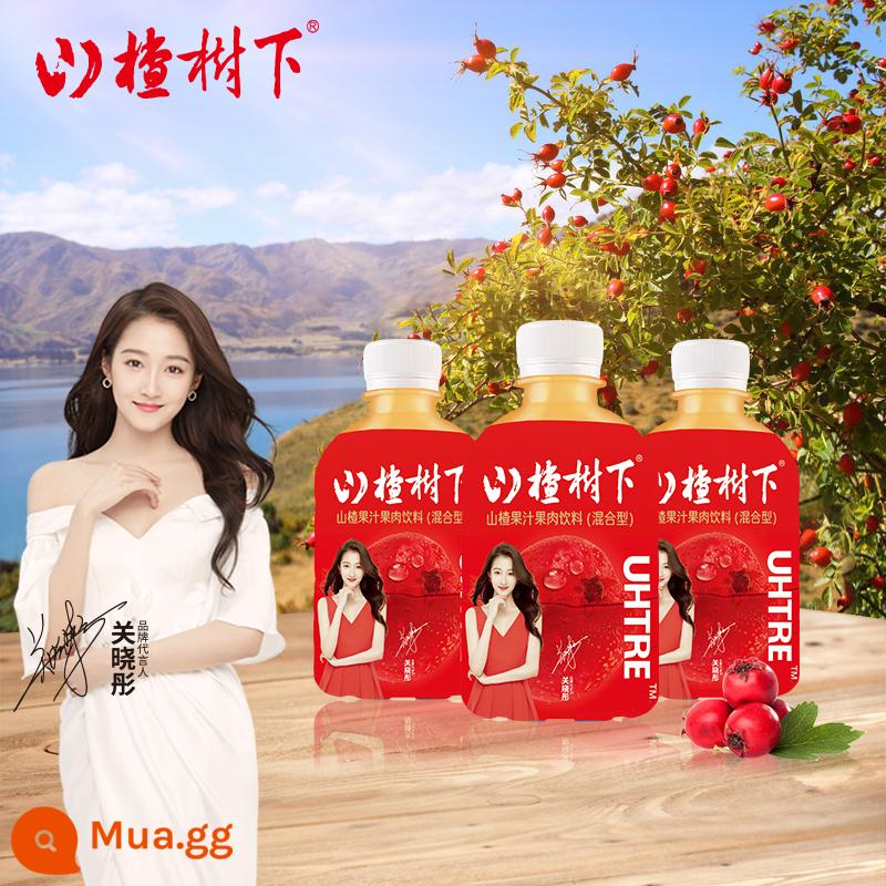 Nước sơn tra táo gai Guanfang (loại hỗn hợp) 350ml*6 chai fullbox date tươi - 350ml*3 chai hương vị nguyên bản