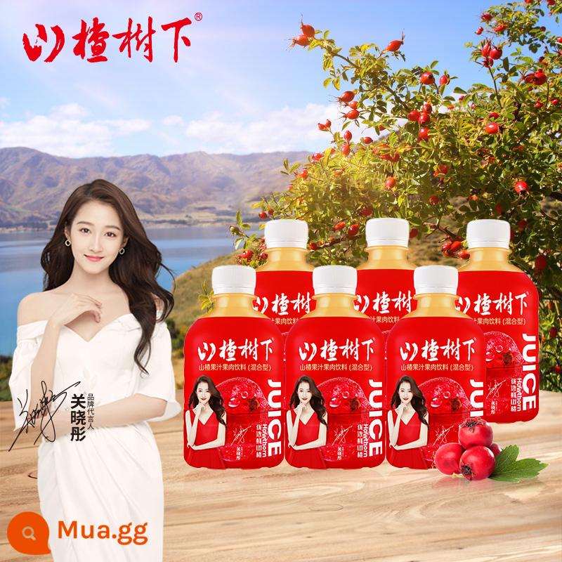 Nước sơn tra táo gai Guanfang (loại hỗn hợp) 350ml*6 chai fullbox date tươi - 350ml*6 chai hương vị nguyên bản