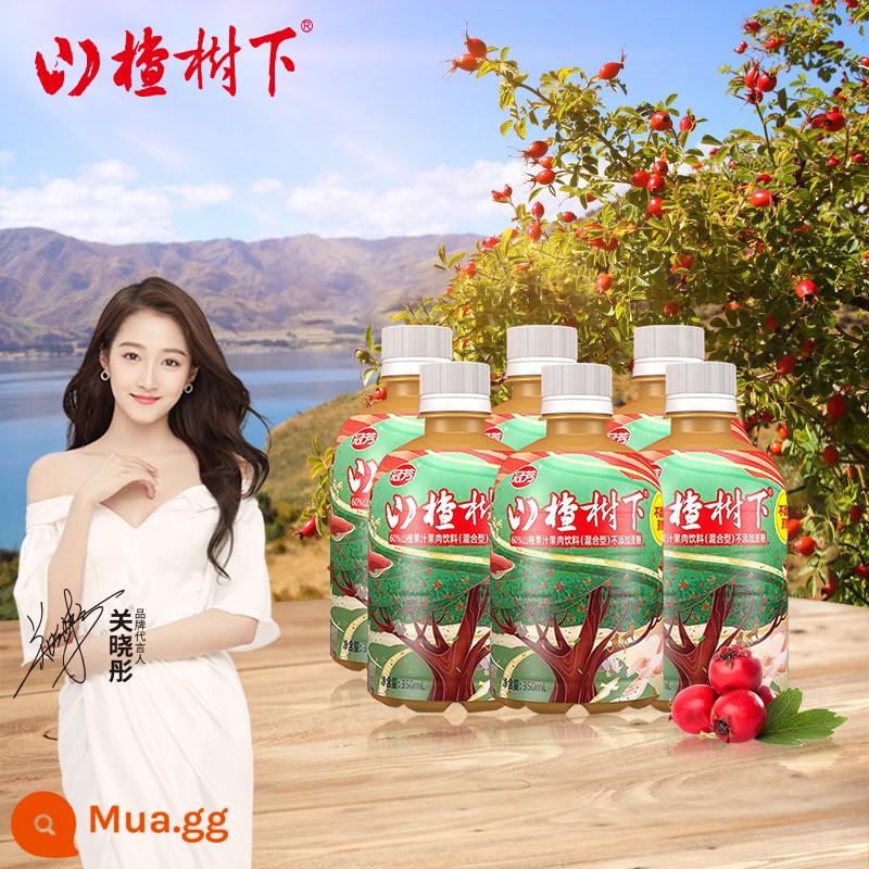 Nước sơn tra táo gai Guanfang (loại hỗn hợp) 350ml*6 chai fullbox date tươi - 350ml*6 chai không thêm sucrose