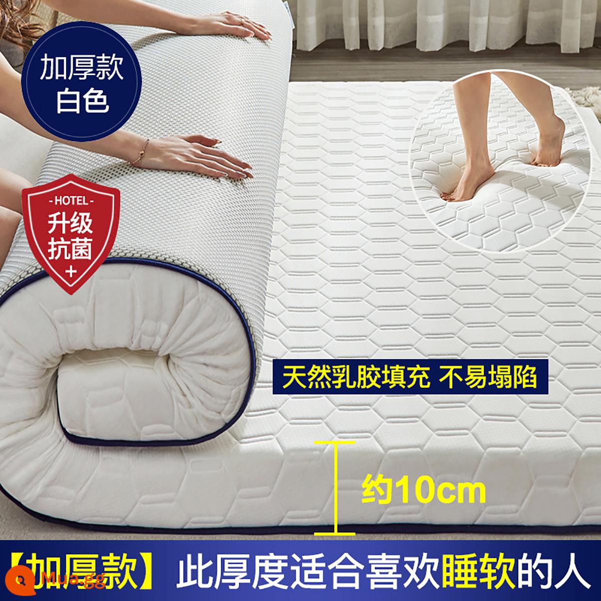 Nệm cao su đệm nhà dày ký túc xá sinh viên đơn chiếu tatami thảm xốp cho thuê chăn đặc biệt - Kháng khuẩn - Lục giác - Trắng 10cm