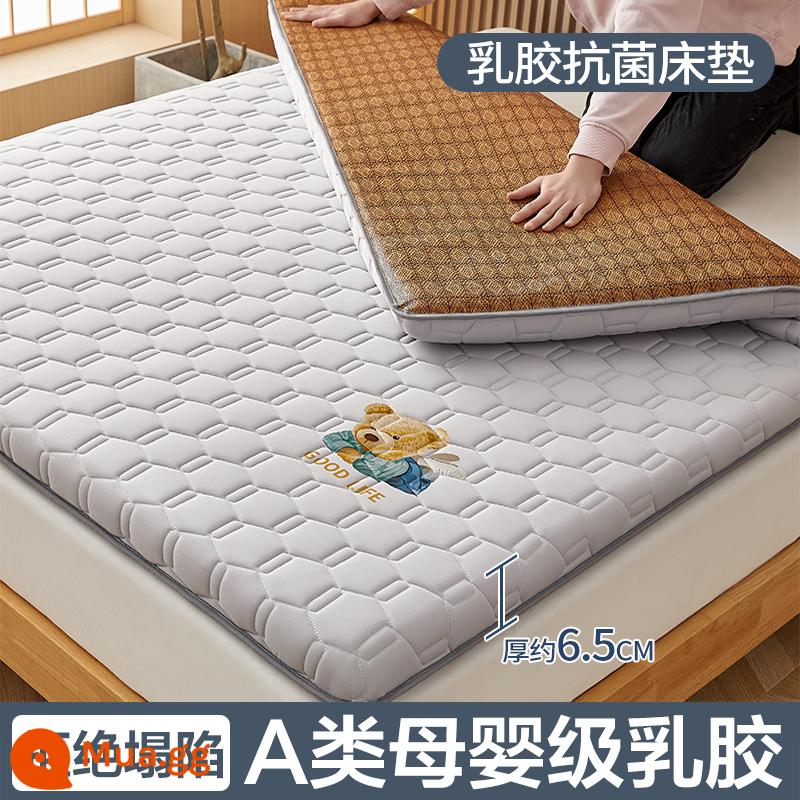 Nệm cao su đệm nhà tatami mat chăn dày ký túc xá sinh viên đơn miếng bọt biển cho thuê đặc biệt mat chăn - (Độ dày khoảng 6,5 cm) Xám gấu [Thảm hai mặt nâng cấp + Vải kháng khuẩn và chống mạt loại A]