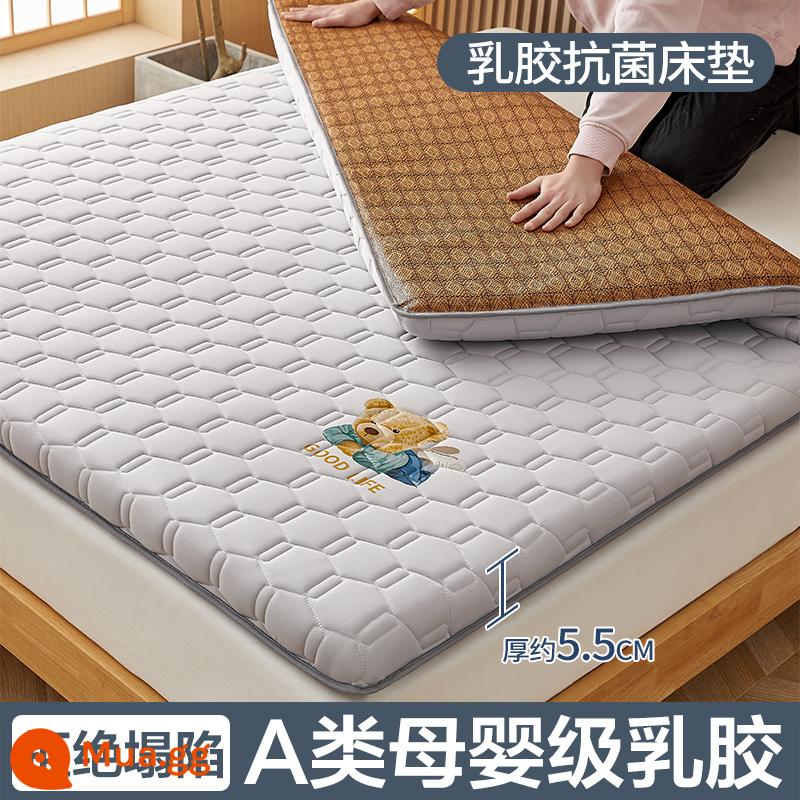 Nệm cao su đệm nhà tatami mat chăn dày ký túc xá sinh viên đơn miếng bọt biển cho thuê đặc biệt mat chăn - (Độ dày: khoảng 5,5 cm) Xám gấu [Thảm hai mặt nâng cấp + Vải kháng khuẩn và chống mạt loại A]