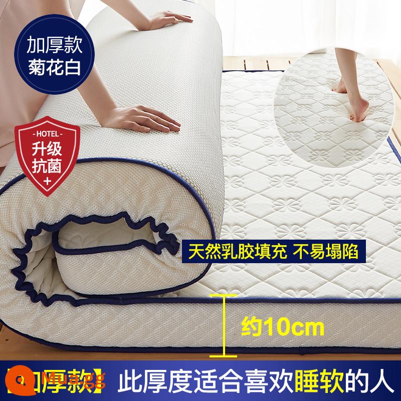 Nệm cao su đệm nhà dày ký túc xá sinh viên đơn chiếu tatami thảm xốp cho thuê chăn đặc biệt - Kháng khuẩn-Stereo-Hướng dương trắng-10cm