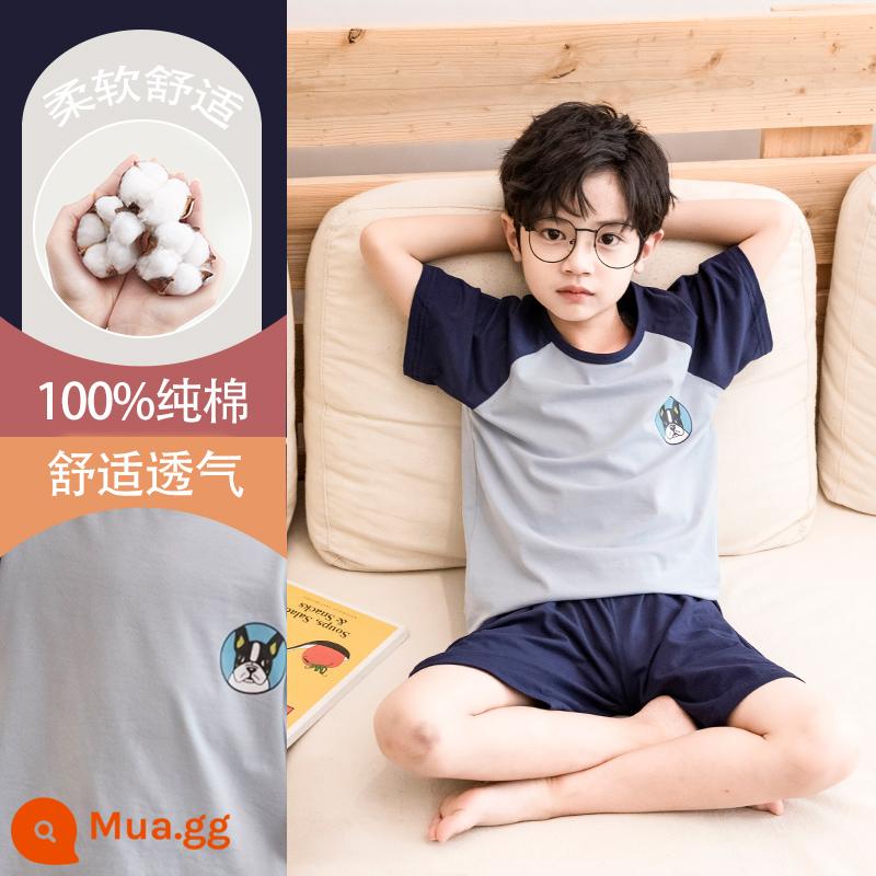 Bộ đồ ngủ trẻ em cotton nguyên chất phong cách mùa hè 2023 cậu bé mới lớn cậu bé mỏng phần mùa hè quần áo điều hòa không khí phù hợp với dịch vụ gia đình - Cún con DNY038 #2K