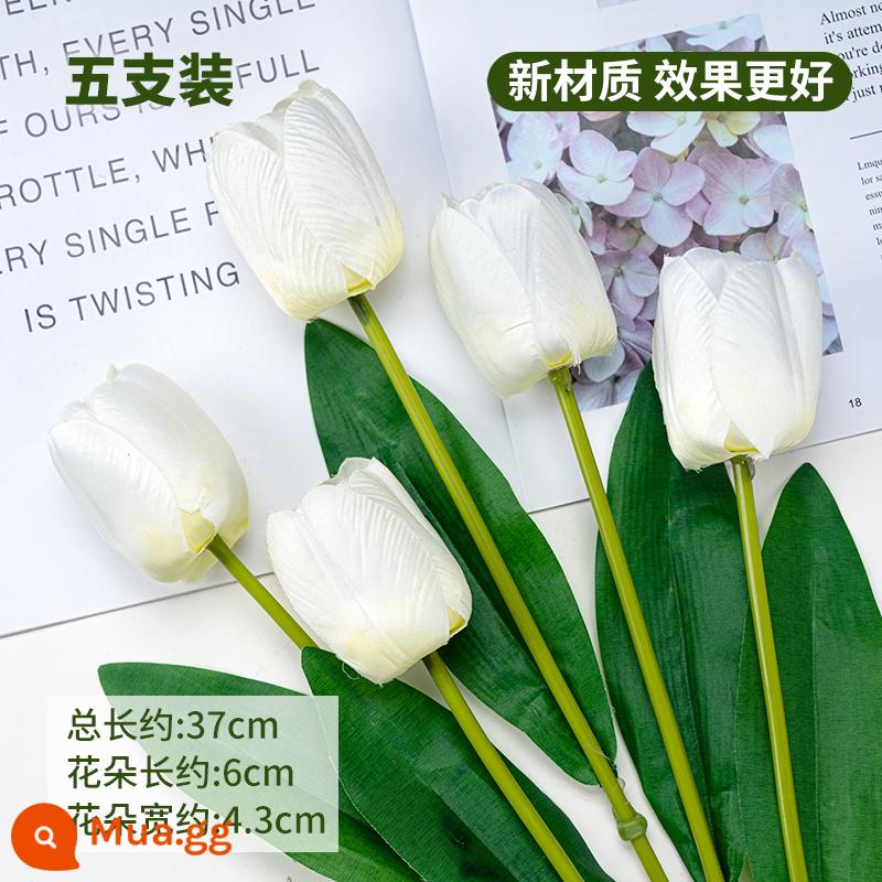 Ngày Của Mẹ Mô Phỏng Tulip Trang Trí Bánh Hoa Hồng Cẩm Chướng Lưới Đỏ Bao Quanh Nàng Tiên Cá Sợi Cắm - Vải mô phỏng kiểu hoa tulip màu trắng (chất liệu mới có tác dụng tốt hơn)