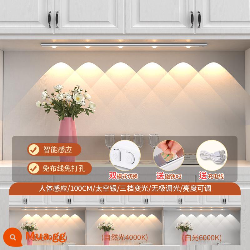 Đèn cảm ứng cơ thể người có thể sạc lại với kết nối không dây tự dính miễn phí tổng thể tủ giày tủ rượu hiên tủ đèn đồi với dải đèn LED - [Một đèn, ba màu] Bạc siêu mỏng 100CM + cảm biến cơ thể người + điều chỉnh độ sáng + có thể sạc lại + 6 hạt đèn