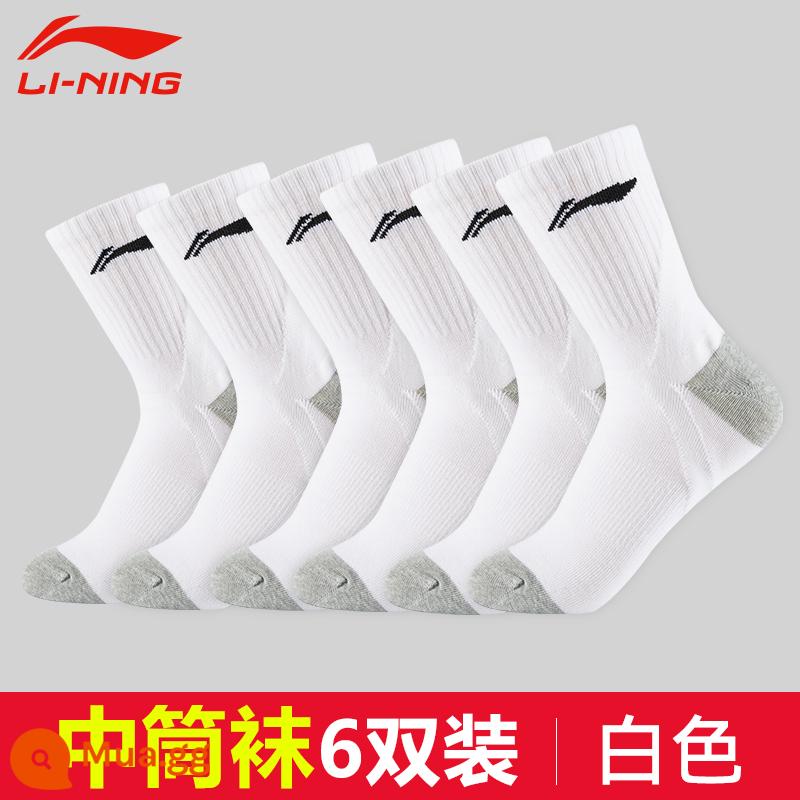 Vớ LI NING SOCKS MAN SOCTS SOCKS TRONG TIP - 451 [trắng] sáu đôi