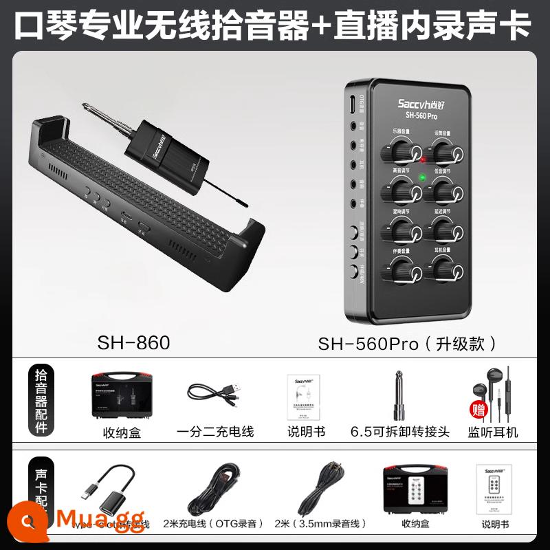 Micrô không dây Shanghao Douqin Professional sử dụng chơi micro Ghi âm điện tử nghe nhìn SH860 SH860 SH860 - Micro không dây harmonica SH860 + Card âm thanh SH560pro