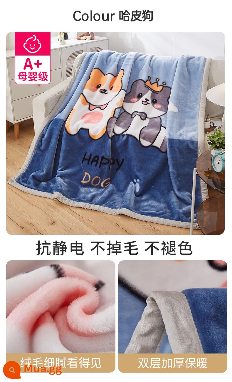 Raschel chăn dày mùa thu và mùa đông san hô ấm flannel chăn đơn ký túc xá sinh viên giường với chăn - Hapi Dog [Bộ đồ giường dày hai lớp, đa năng]