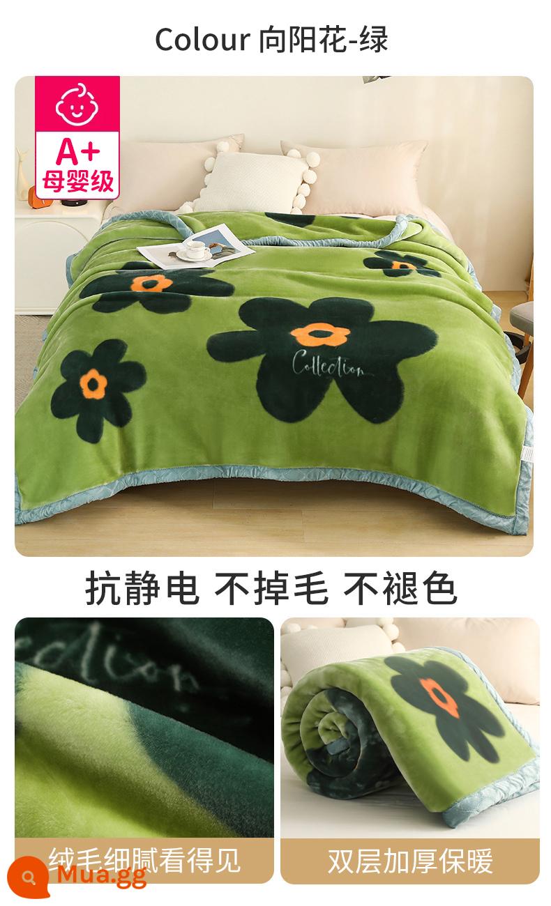 Raschel chăn dày mùa thu và mùa đông san hô ấm flannel chăn đơn ký túc xá sinh viên giường với chăn - Sunflower-Green [Bộ đồ giường dày hai lớp, đa năng]