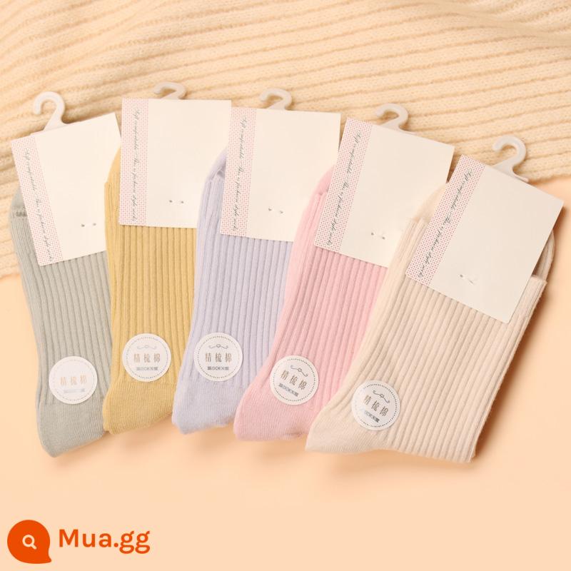 Vớ nữ mùa thu đông màu trơn dày ống giữa vớ nữ không phai màu cotton ấm thường eo dài vừa vớ cotton nữ - Màu pastel—5 đôi