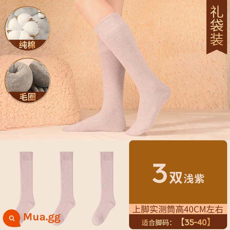 Henngyuanxiang Vớ bông nguyên chất Mùa thu và mùa đông ấm áp và nhung, mùa đông Dothoran Anti -cotton TOCT SOCKS - [Áo cao cấp nữ] nhung dày - 3 đôi tím nhạt