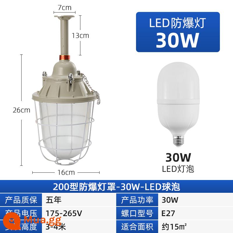 Tiêu chuẩn quốc gia đèn LED chống cháy nổ phòng nhà máy xưởng chiếu sáng đèn bóng đèn nhà kho đèn chống cháy nổ đèn trạm xăng đặc biệt - Bóng đèn độ sáng cao 30W-Bóng đèn chống cháy nổ 200-Bóng đèn LED (có chứng chỉ)