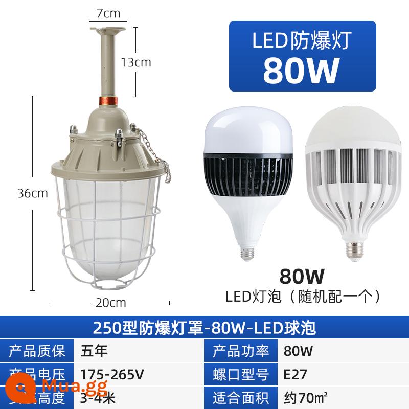 Tiêu chuẩn quốc gia đèn LED chống cháy nổ phòng nhà máy xưởng chiếu sáng đèn bóng đèn nhà kho đèn chống cháy nổ đèn trạm xăng đặc biệt - Bóng đèn độ sáng cao 80W-Bóng đèn chống cháy nổ 250-Bóng đèn LED (có chứng chỉ)