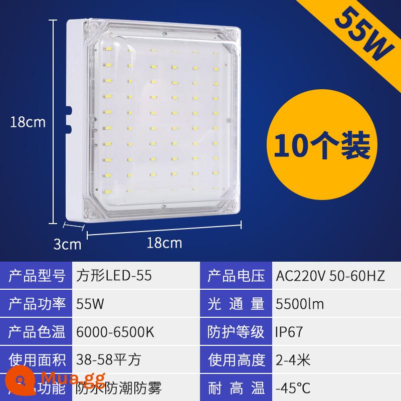 Đèn thư viện lạnh Đèn LED Đèn lồng đóng băng đặc biệt, không thấm nước, nhiệt độ rộng nhiệt độ thấp -Temperative Bop Muff Phòng trang điểm ba đèn chống - [Giảm 10 cái] Đèn vuông trắng 55w độ sáng cao