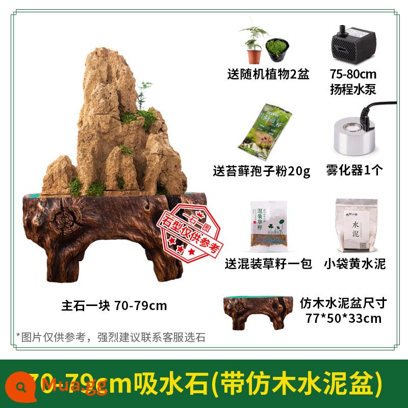 Đá hút nước tự nhiên đá bonsai sân vừa và lớn ao cá nước đá đá gốc hòn non bộ cảnh quan núi đá đồ trang trí nhỏ - Đá thấm 70-79cm + chậu xi măng