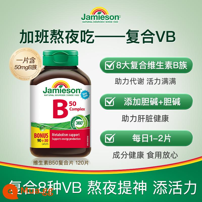 Mười tỷ tập thể hình Jamieson hợp chất b100 chiều b nhóm vitamin B họ b2/b12/b6/b3 viên nén giải phóng chậm vb - [50mg họ B 120 viên] 8 loại hợp chất VB