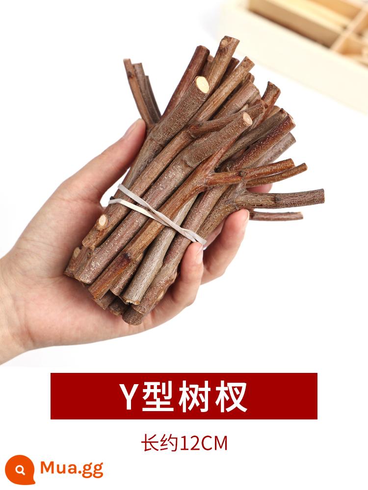 Nhánh thân trang trí lớp mẫu giáo chất liệu tạo vòng nón thông chết tự nhiên nhánh bó hoa DIY handmade sáng tạo tranh khúc gỗ - Cành cây hình chữ Y màu kaki đậm dài khoảng 12cm