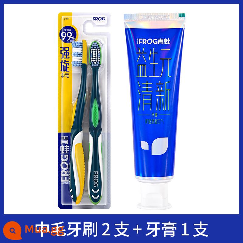 Ếch nhập khẩu bàn chải đánh răng lông mềm lông vừa gia đình gói hộ gia đình lớn người lớn siêu cứng làm sạch khoang miệng nam đặc biệt - [2 miếng lông vừa dành cho nam + 1 miếng kem đánh răng]