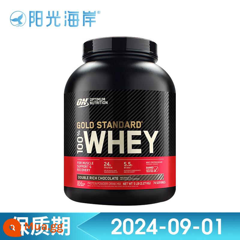 TRÊN optimon gold whey protein bột thể hình bột xây dựng cơ bắp bột dinh dưỡng bột xây dựng cơ bắp WHEY5 lbs/lon dành cho người lớn - Hương sô-cô-la đôi 2270g/5 pound