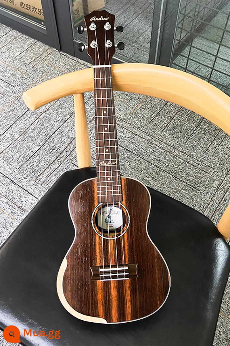 Andrew veneer ukulele người mới bắt đầu ukulele nữ bé trai guitar nhỏ học sinh ukulele trẻ em - [Phiên bản giới hạn 50 chiếc] Gỗ đàn hương đen + phụ kiện + túi biểu diễn